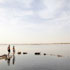 01-Siwa-8.jpg