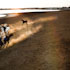14-Siwa-8.jpg