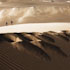 19-Siwa-8.jpg