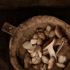 01-Food.jpg