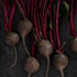05-Food.jpg